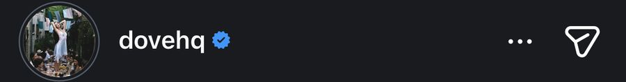Second Instagram story viewer list showing the verified dovehq account